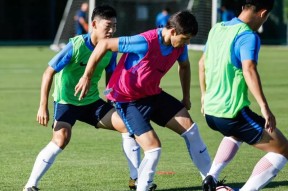 上海申花训练开放日；窗口期扳平良机引欢呼；欧冠在即；更衣室氛围转暖的简单介绍-九游体育官网